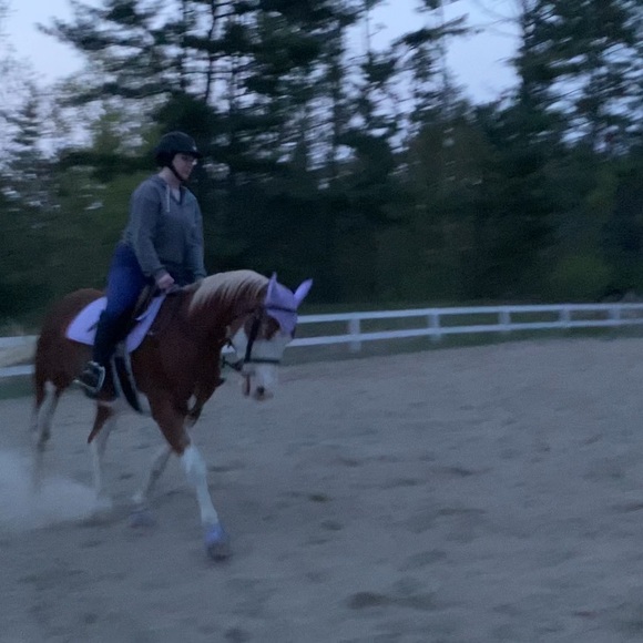 Meet your Posher, Stefanie - Picture 3 of 4